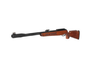 Gamo cfx royal